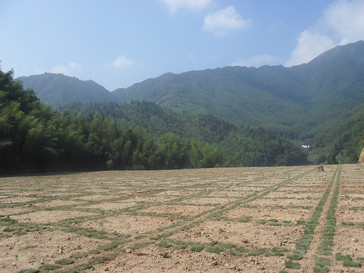 北湖区芙蓉乡铁婆岩、瓦渣池矿区重金属污染治理工程