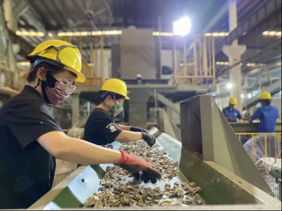 当“月光”邂逅 “中国绿”（三）｜拆解台前的月光：用双手为废旧电器赋予“绿色新生”